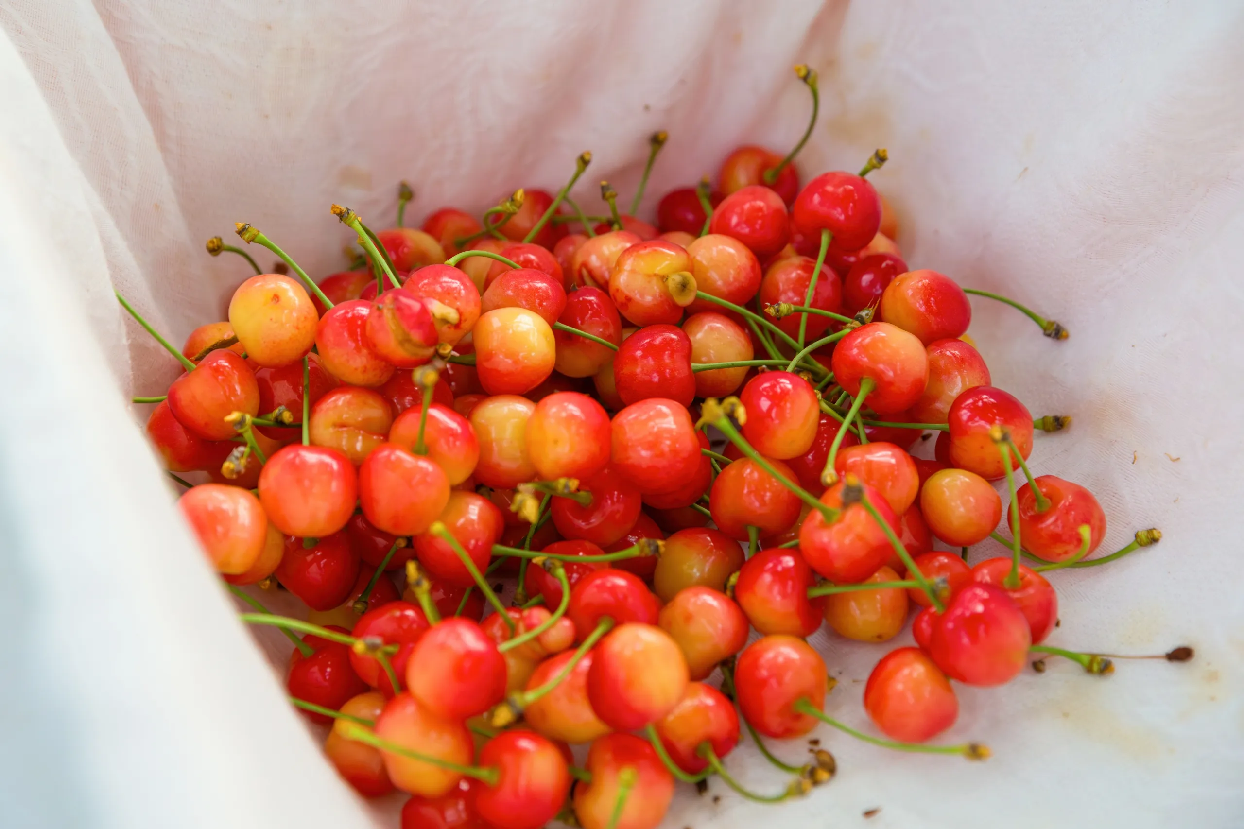 高温障害農産物の付加価値化